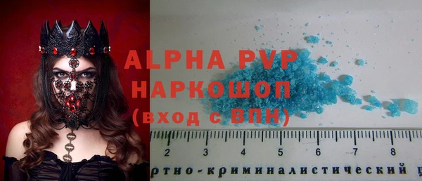прущий лед Бородино