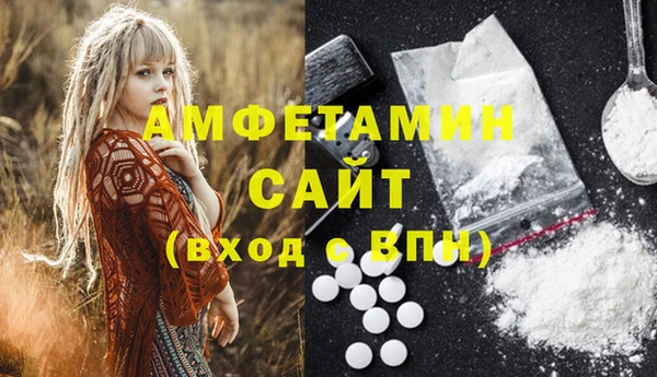 прущий лед Бородино