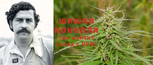 прущий лед Бородино