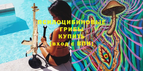прущий лед Бородино