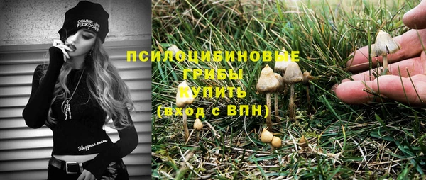 прущий лед Бородино
